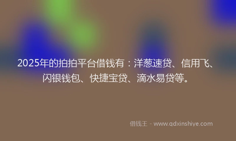 2025年的拍拍平台借钱有：洋葱速贷、信用飞、闪银钱包、快捷宝贷、滴水易贷等。