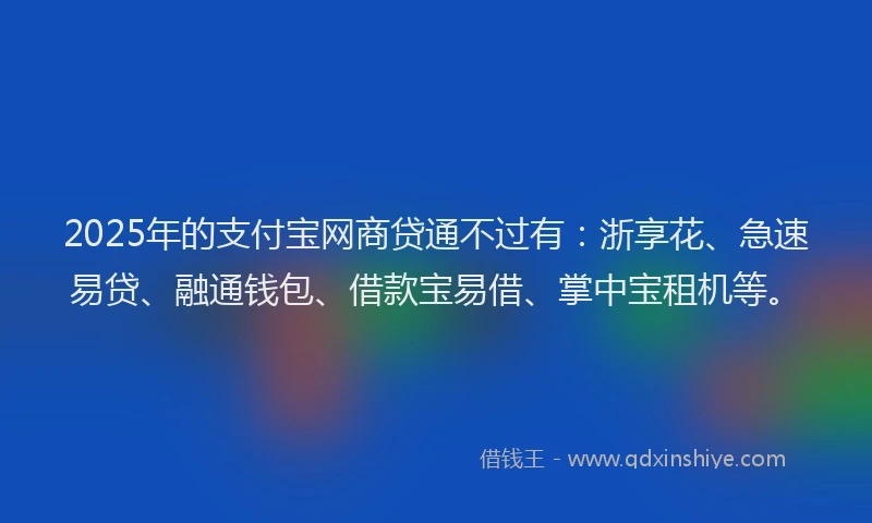 2025年的支付宝网商贷通不过有：浙享花、急速易贷、融通钱包、借款宝易借、掌中宝租机等。