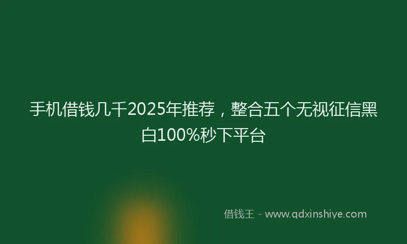 手机借钱几千2025年推荐，整合五个无视征信黑白100%秒下平台