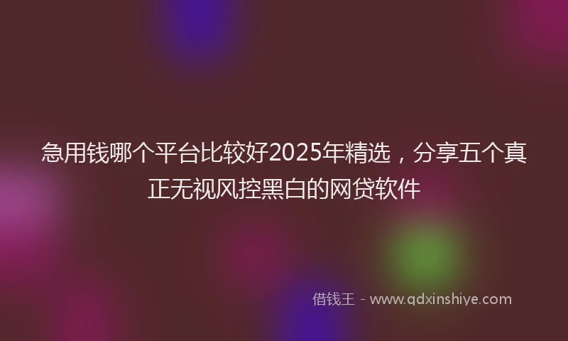 急用钱哪个平台比较好2025年精选，分享五个真正无视风控黑白的网贷软件