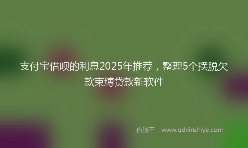 支付宝借呗的利息2025年推荐，整理5个摆脱欠款束缚贷款新软件