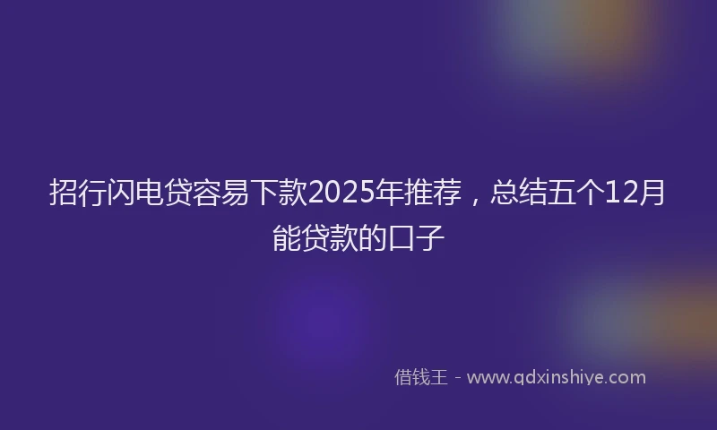 招行闪电贷容易下款2025年推荐，总结五个12月能贷款的口子