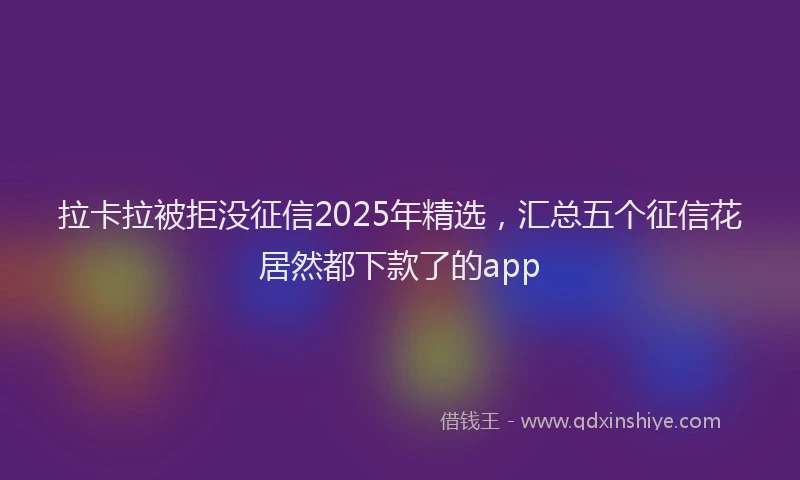 拉卡拉被拒没征信2025年精选，汇总五个征信花居然都下款了的app