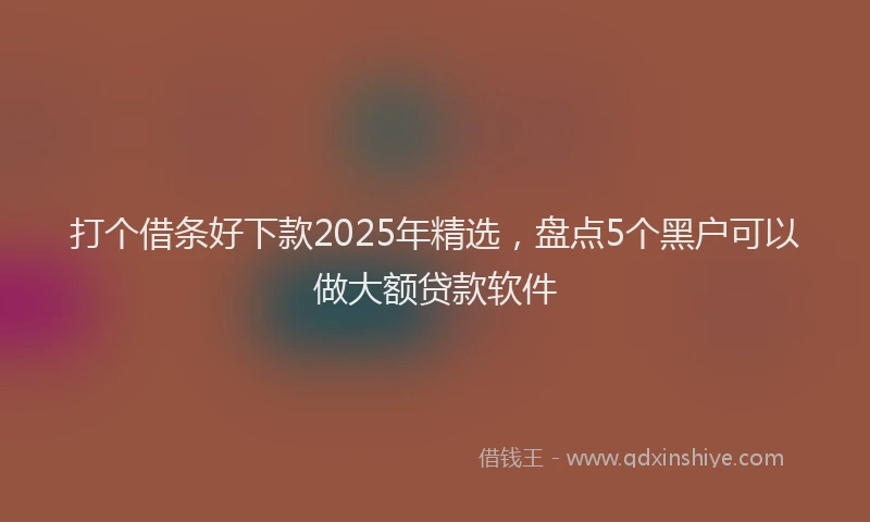 打个借条好下款2025年精选，盘点5个黑户可以做大额贷款软件