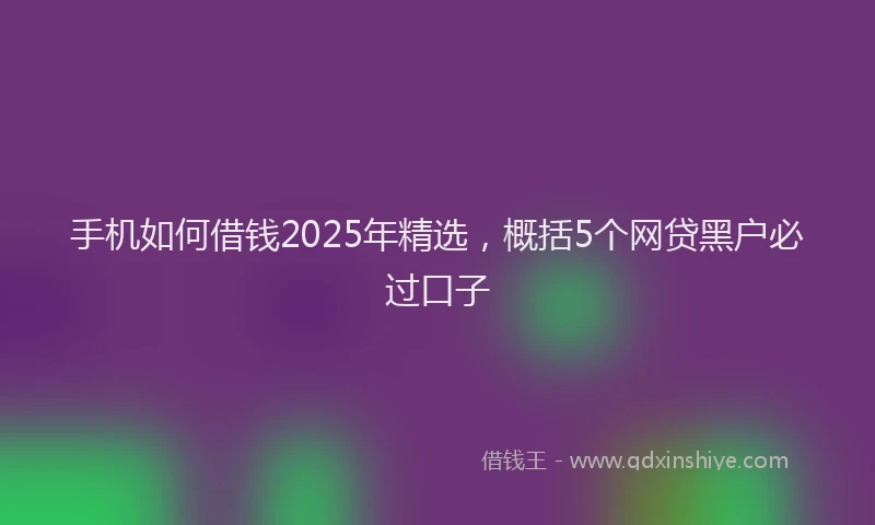 手机如何借钱2025年精选，概括5个网贷黑户必过口子