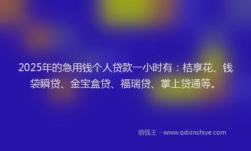 2025年的急用钱个人贷款一小时有：桔享花、钱袋瞬贷、金宝盒贷、福瑞贷、掌上贷通等。