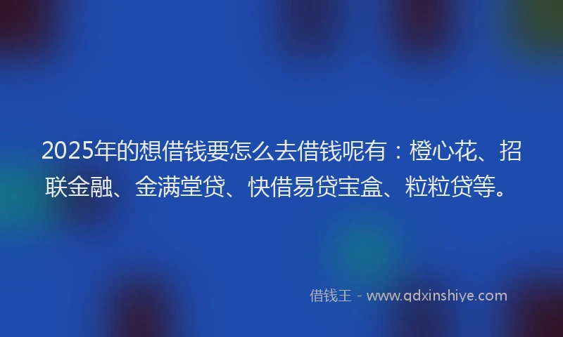 2025年的想借钱要怎么去借钱呢有：橙心花、招联金融、金满堂贷、快借易贷宝盒、粒粒贷等。