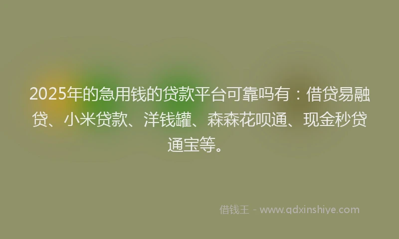 2025年的急用钱的贷款平台可靠吗有：借贷易融贷、小米贷款、洋钱罐、森森花呗通、现金秒贷通宝等。