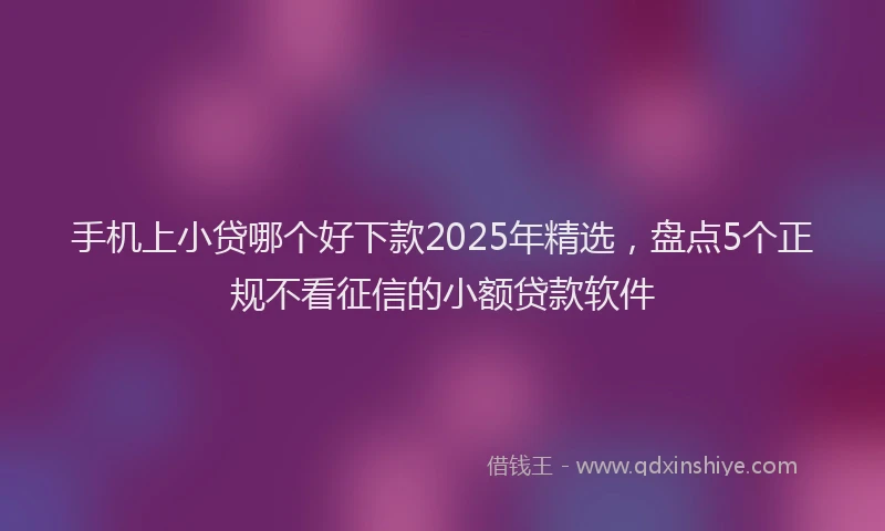 手机上小贷哪个好下款2025年精选，盘点5个正规不看征信的小额贷款软件
