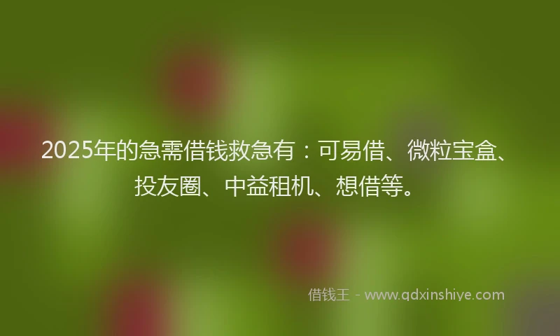 2025年的急需借钱救急有：可易借、微粒宝盒、投友圈、中益租机、想借等。