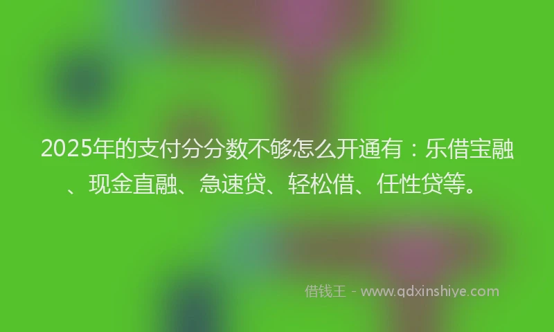 2025年的支付分分数不够怎么开通有：乐借宝融、现金直融、急速贷、轻松借、任性贷等。