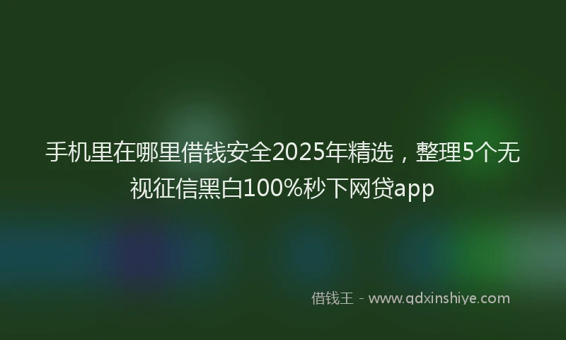 手机里在哪里借钱安全2025年精选，整理5个无视征信黑白100%秒下网贷app