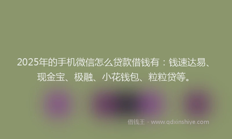 2025年的手机微信怎么贷款借钱有：钱速达易、现金宝、极融、小花钱包、粒粒贷等。