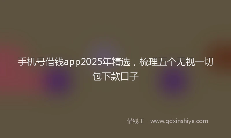 手机号借钱app2025年精选，梳理五个无视一切包下款口子
