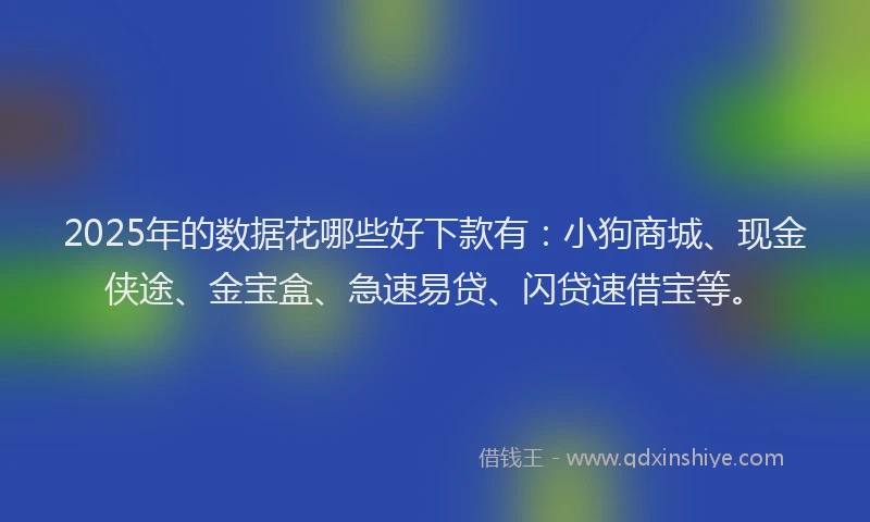 2025年的数据花哪些好下款有：小狗商城、现金侠途、金宝盒、急速易贷、闪贷速借宝等。