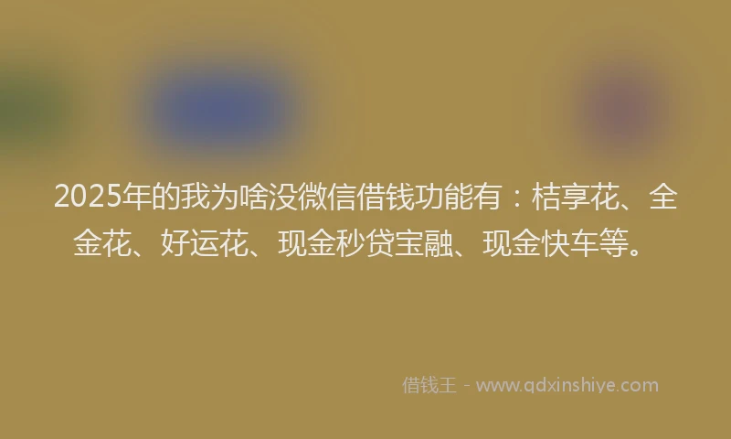 2025年的我为啥没微信借钱功能有：桔享花、全金花、好运花、现金秒贷宝融、现金快车等。