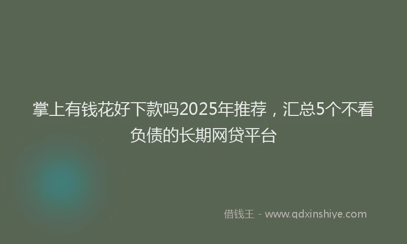 掌上有钱花好下款吗2025年推荐，汇总5个不看负债的长期网贷平台
