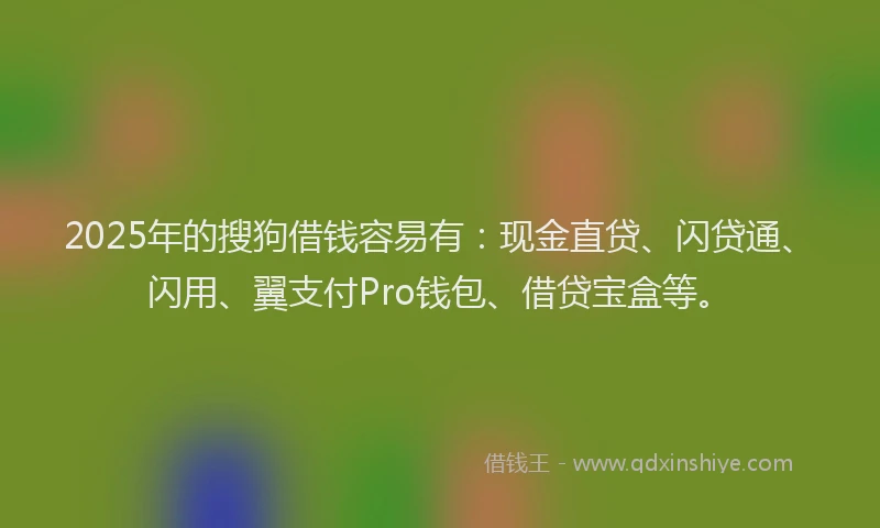 2025年的搜狗借钱容易有：现金直贷、闪贷通、闪用、翼支付Pro钱包、借贷宝盒等。