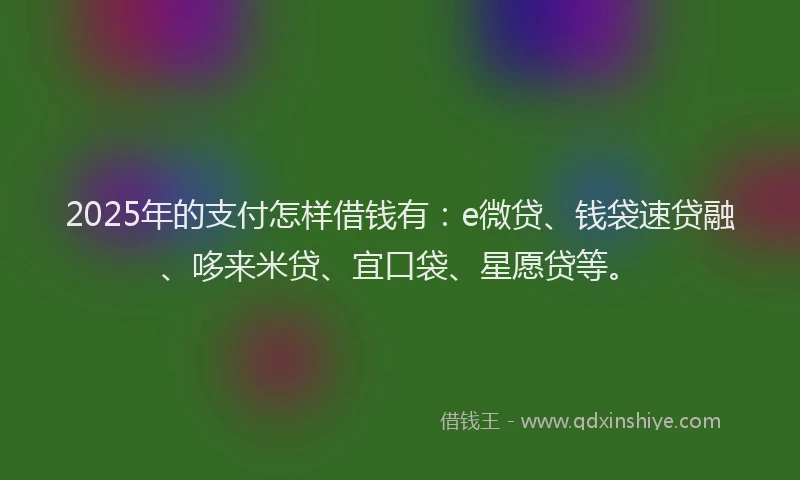 2025年的支付怎样借钱有：e微贷、钱袋速贷融、哆来米贷、宜口袋、星愿贷等。