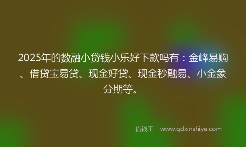 2025年的数融小贷钱小乐好下款吗有：金峰易购、借贷宝易贷、现金好贷、现金秒融易、小金象分期等。