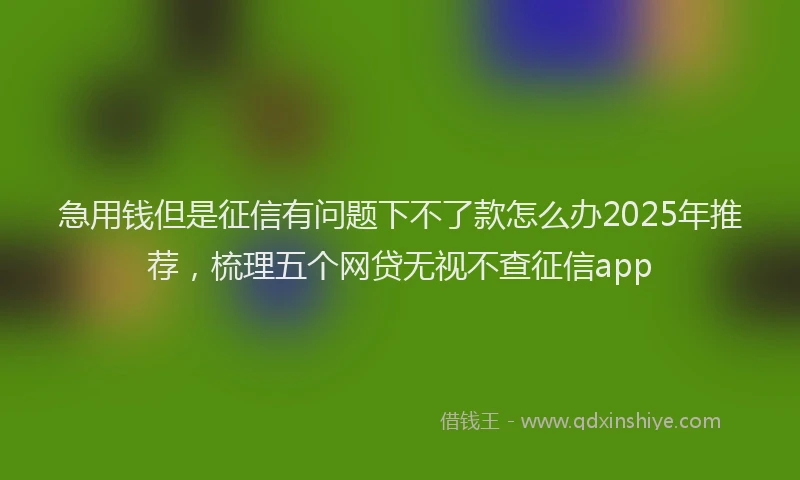 急用钱但是征信有问题下不了款怎么办2025年推荐，梳理五个网贷无视不查征信app
