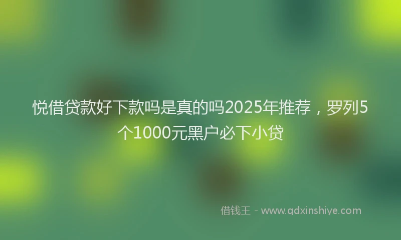 悦借贷款好下款吗是真的吗2025年推荐，罗列5个1000元黑户必下小贷