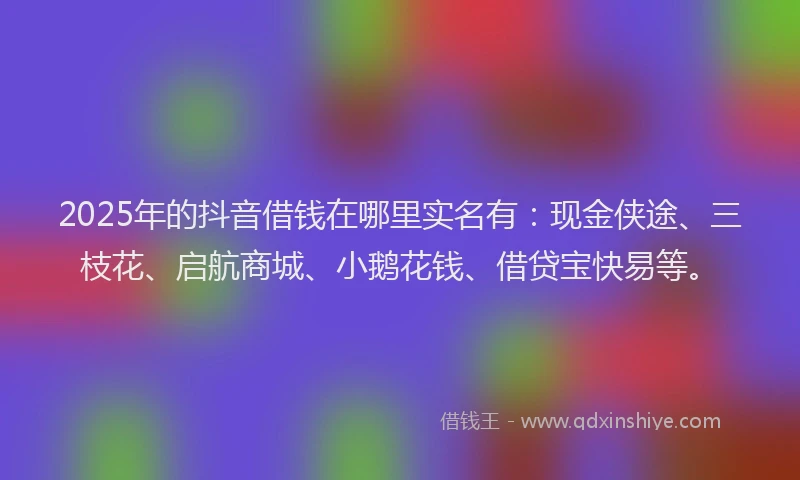 2025年的抖音借钱在哪里实名有：现金侠途、三枝花、启航商城、小鹅花钱、借贷宝快易等。