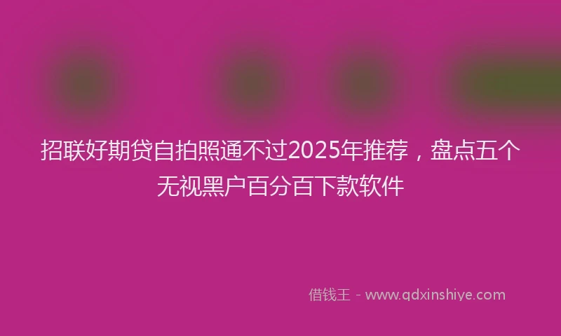 招联好期贷自拍照通不过2025年推荐，盘点五个无视黑户百分百下款软件