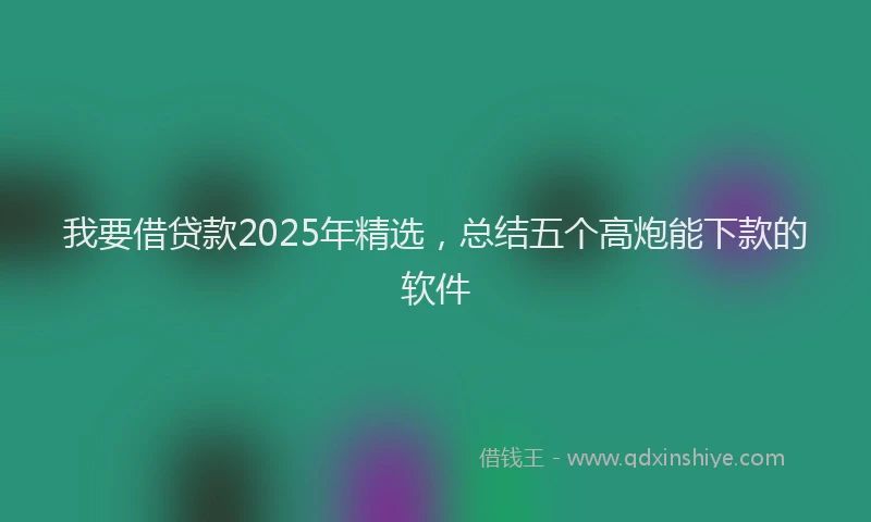 我要借贷款2025年精选，总结五个高炮能下款的软件