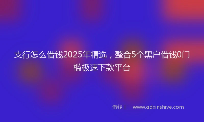 支行怎么借钱2025年精选，整合5个黑户借钱0门槛极速下款平台