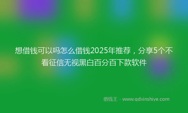 想借钱可以吗怎么借钱2025年推荐，分享5个不看征信无视黑白百分百下款软件