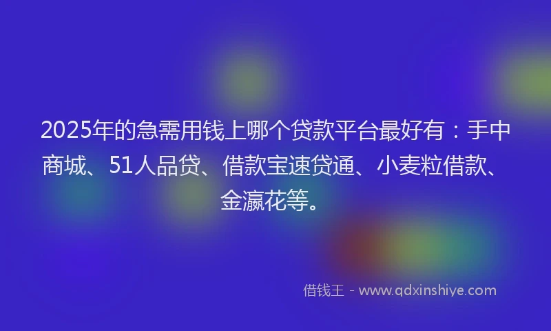 2025年的急需用钱上哪个贷款平台最好有：手中商城、51人品贷、借款宝速贷通、小麦粒借款、金瀛花等。