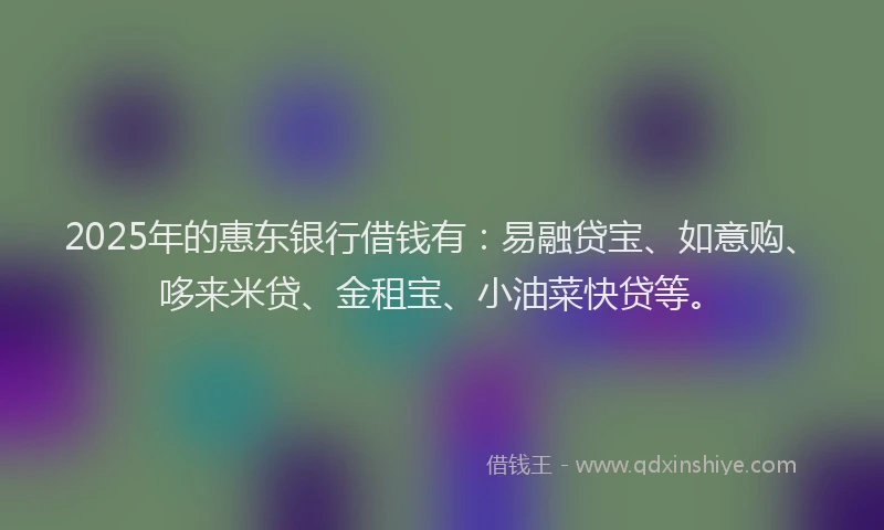 2025年的惠东银行借钱有：易融贷宝、如意购、哆来米贷、金租宝、小油菜快贷等。