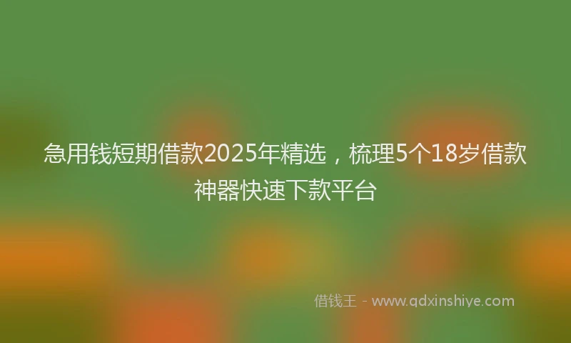 急用钱短期借款2025年精选，梳理5个18岁借款神器快速下款平台