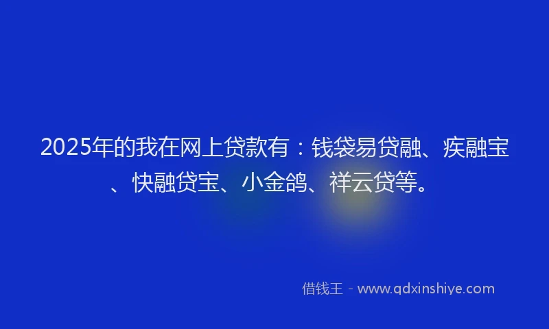2025年的我在网上贷款有：钱袋易贷融、疾融宝、快融贷宝、小金鸽、祥云贷等。