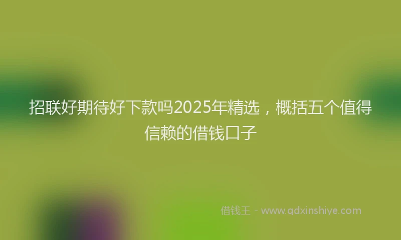 招联好期待好下款吗2025年精选，概括五个值得信赖的借钱口子