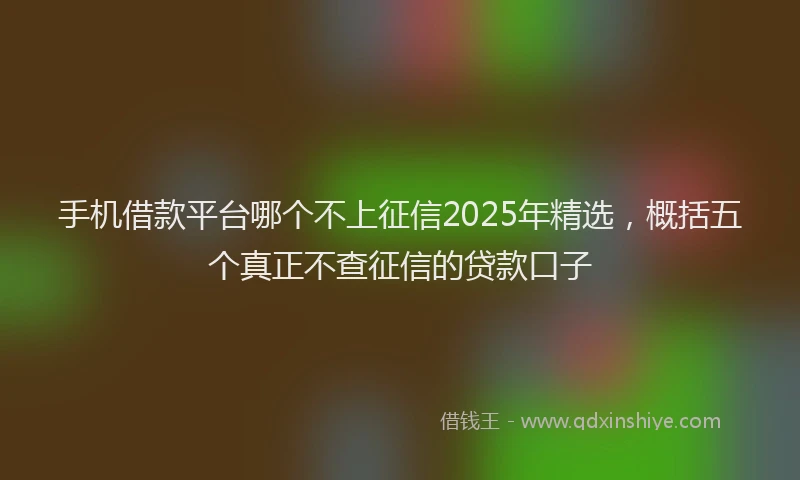 手机借款平台哪个不上征信2025年精选，概括五个真正不查征信的贷款口子