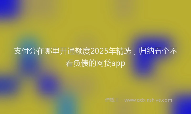 支付分在哪里开通额度2025年精选，归纳五个不看负债的网贷app