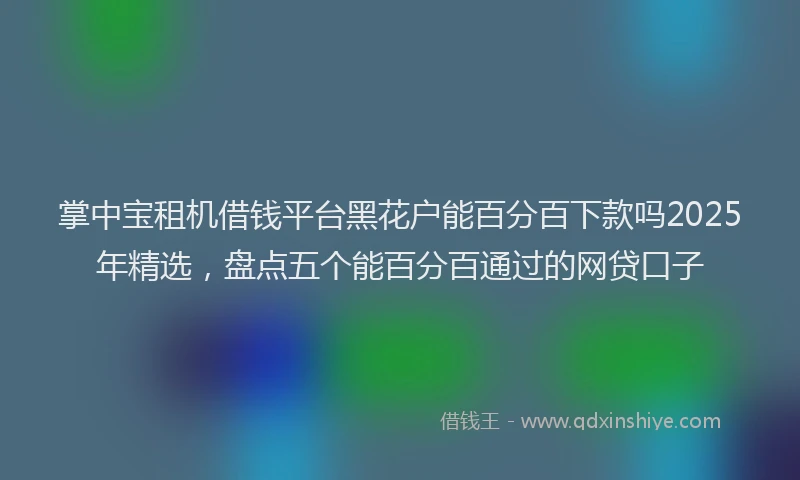 掌中宝租机借钱平台黑花户能百分百下款吗2025年精选，盘点五个能百分百通过的网贷口子