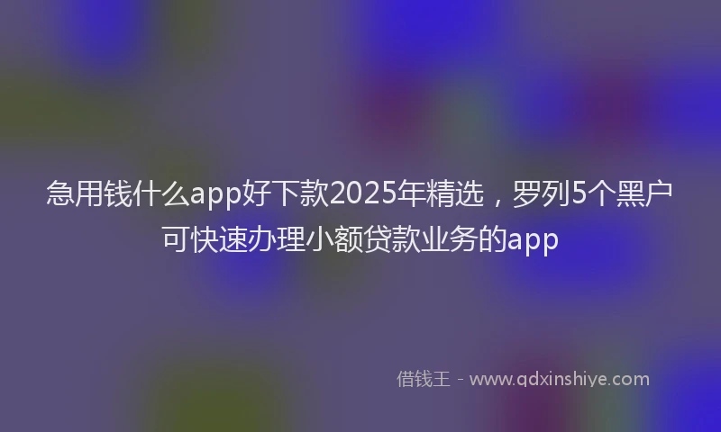 急用钱什么app好下款2025年精选，罗列5个黑户可快速办理小额贷款业务的app