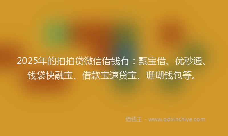 2025年的拍拍贷微信借钱有：甄宝借、优秒通、钱袋快融宝、借款宝速贷宝、珊瑚钱包等。