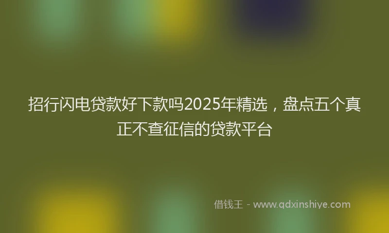招行闪电贷款好下款吗2025年精选，盘点五个真正不查征信的贷款平台
