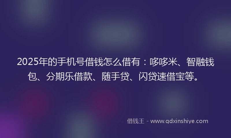 2025年的手机号借钱怎么借有：哆哆米、智融钱包、分期乐借款、随手贷、闪贷速借宝等。
