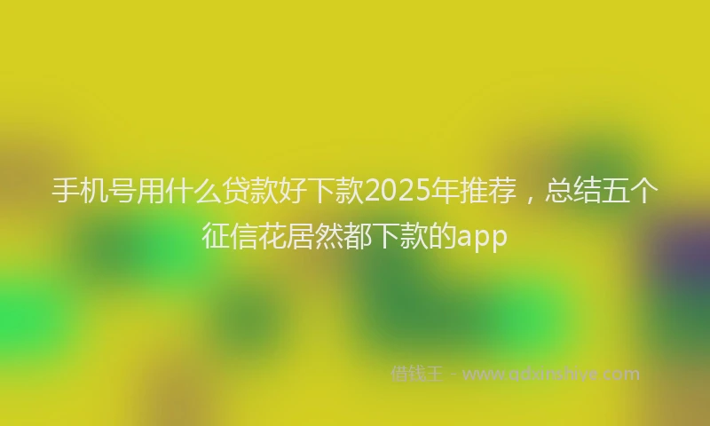 手机号用什么贷款好下款2025年推荐，总结五个征信花居然都下款的app