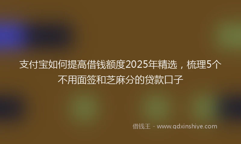 支付宝如何提高借钱额度2025年精选，梳理5个不用面签和芝麻分的贷款口子
