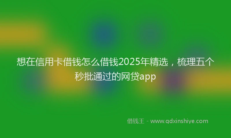 想在信用卡借钱怎么借钱2025年精选，梳理五个秒批通过的网贷app