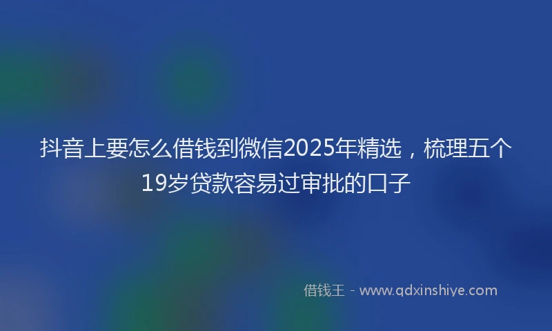 抖音上要怎么借钱到微信2025年精选，梳理五个19岁贷款容易过审批的口子