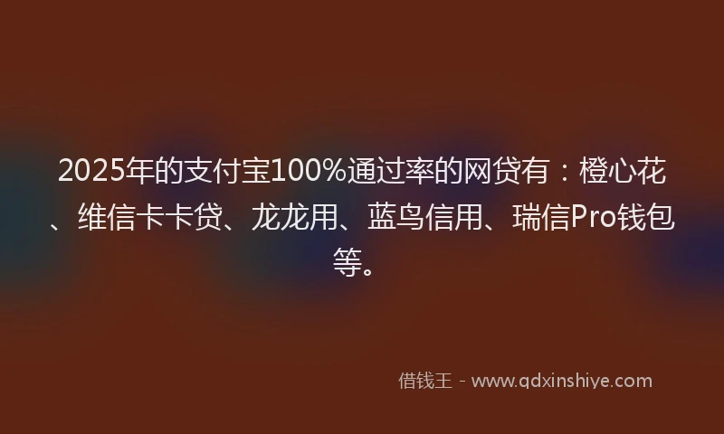 2025年的支付宝100%通过率的网贷有：橙心花、维信卡卡贷、龙龙用、蓝鸟信用、瑞信Pro钱包等。