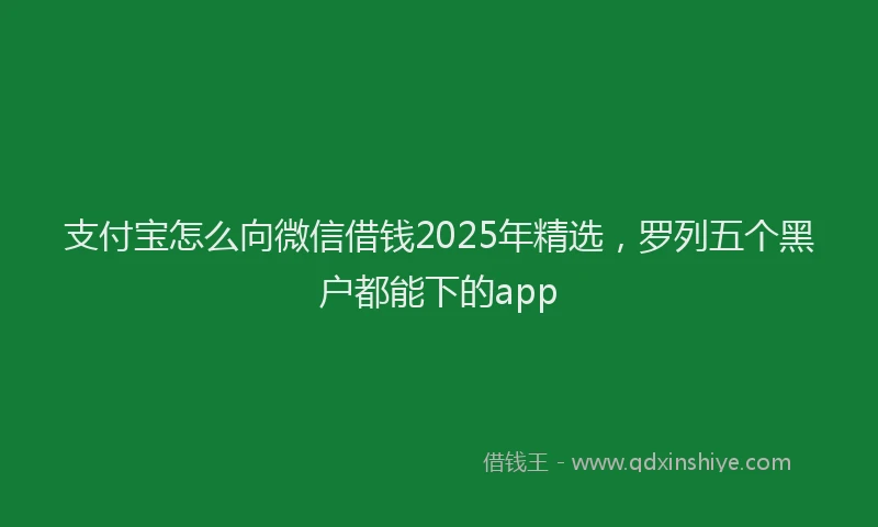 支付宝怎么向微信借钱2025年精选，罗列五个黑户都能下的app