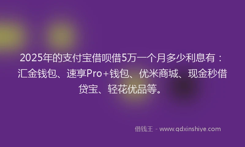 2025年的支付宝借呗借5万一个月多少利息有：汇金钱包、速享Pro+钱包、优米商城、现金秒借贷宝、轻花优品等。